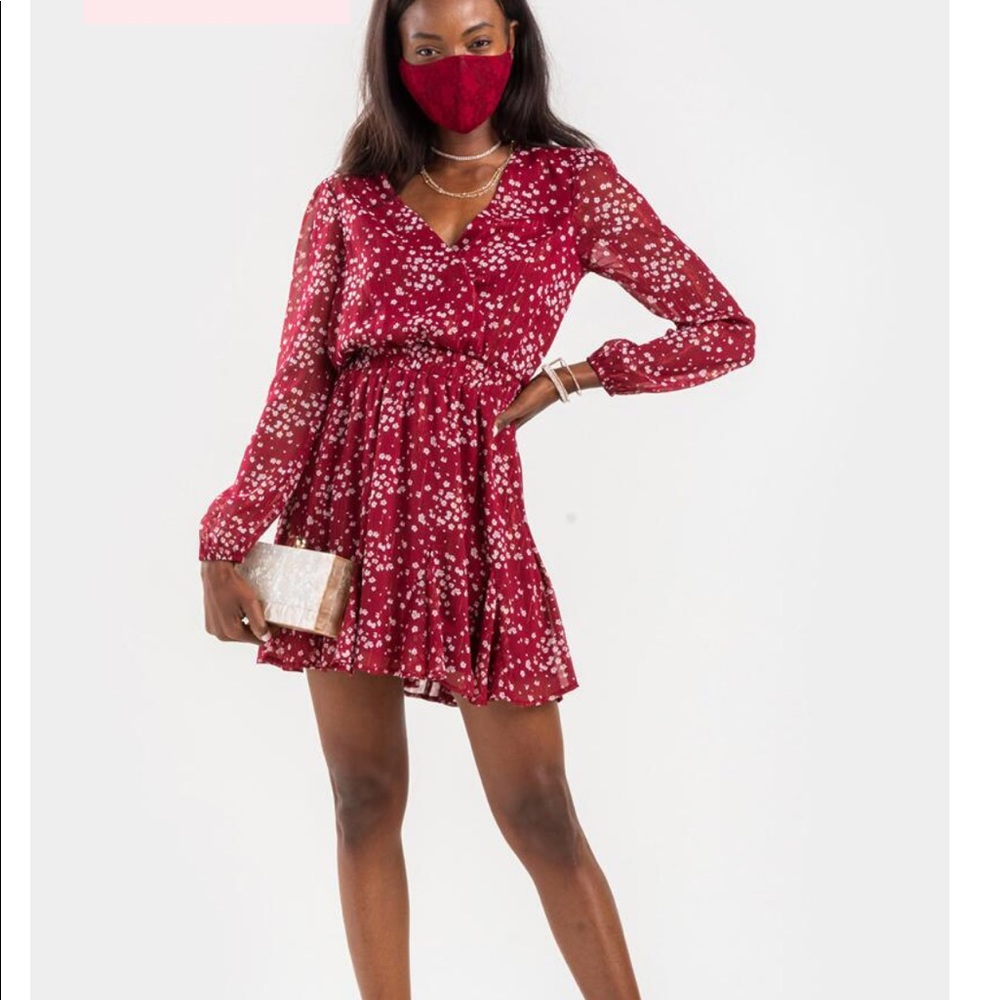 Francesca’s Burgundy Dress
